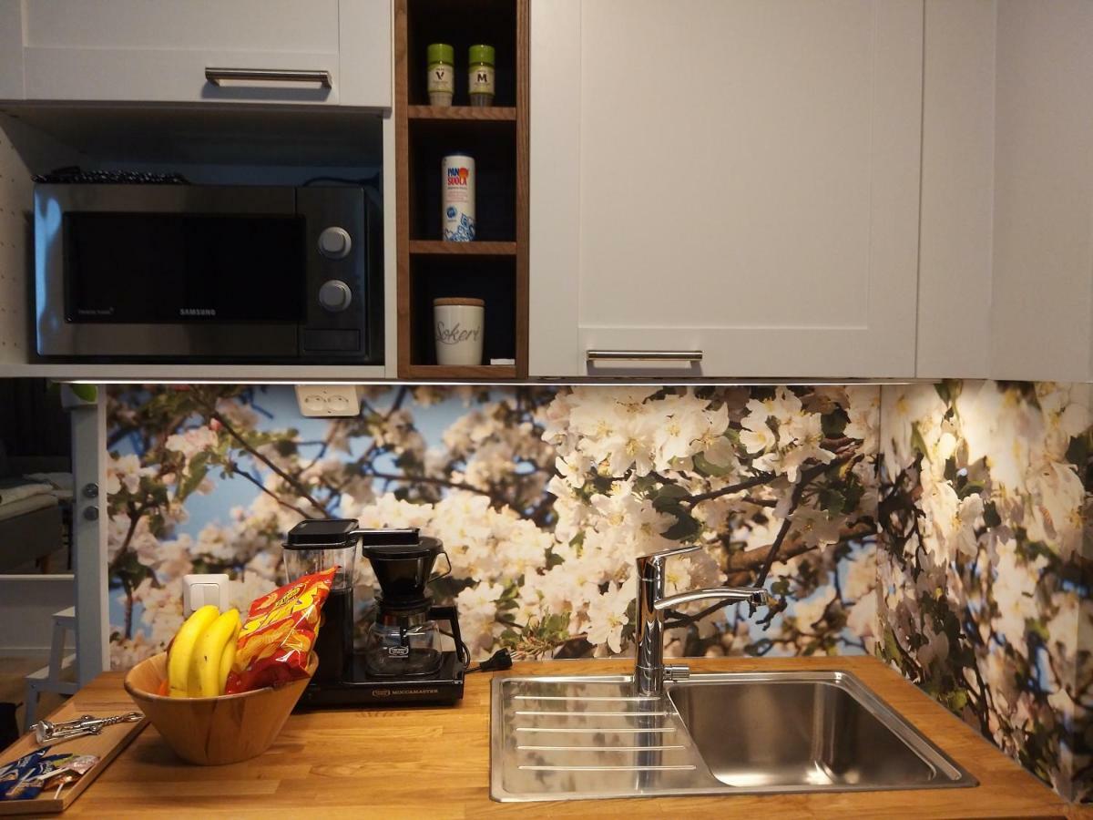 Studiohuoneisto Lohjan Keskusta 2 Buitenkant foto